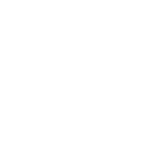 express-icon